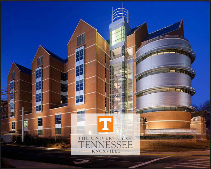 university of tennessee--knoxville (tickle)